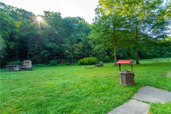 a green field covered with trees in the background
