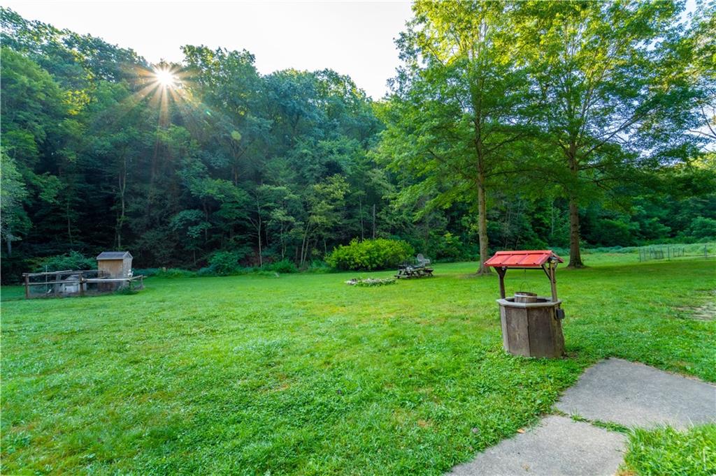 221 Hartzell School Road Fombell, PA 16123 - Photo 34 of 40 a green field covered with trees in the background