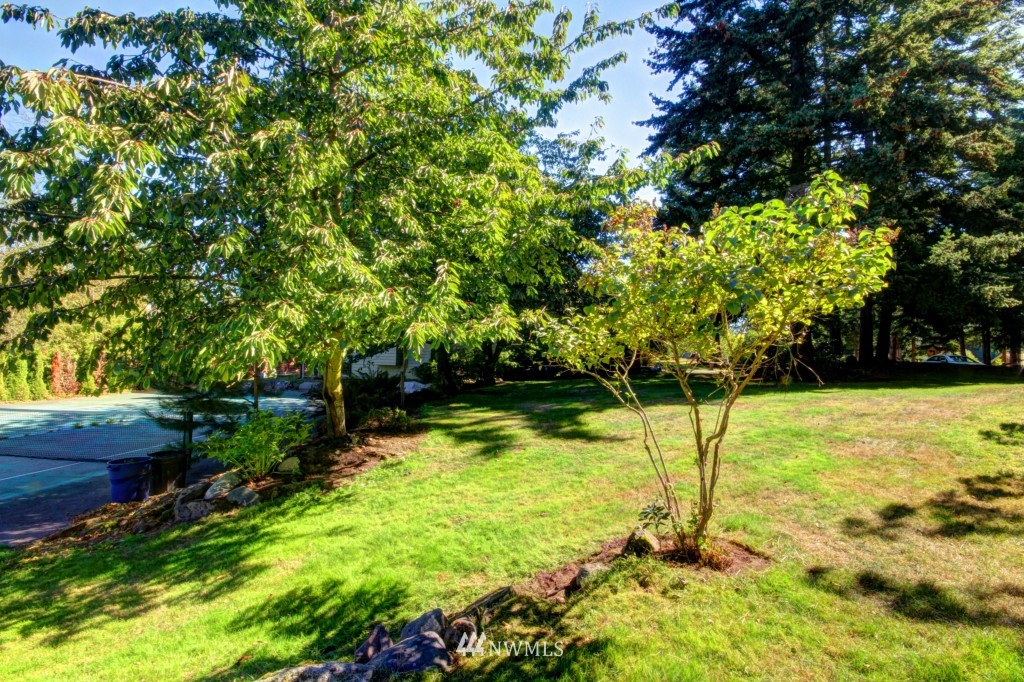 0 Linden Road Bellingham, WA 98225 - Photo 7 of 7