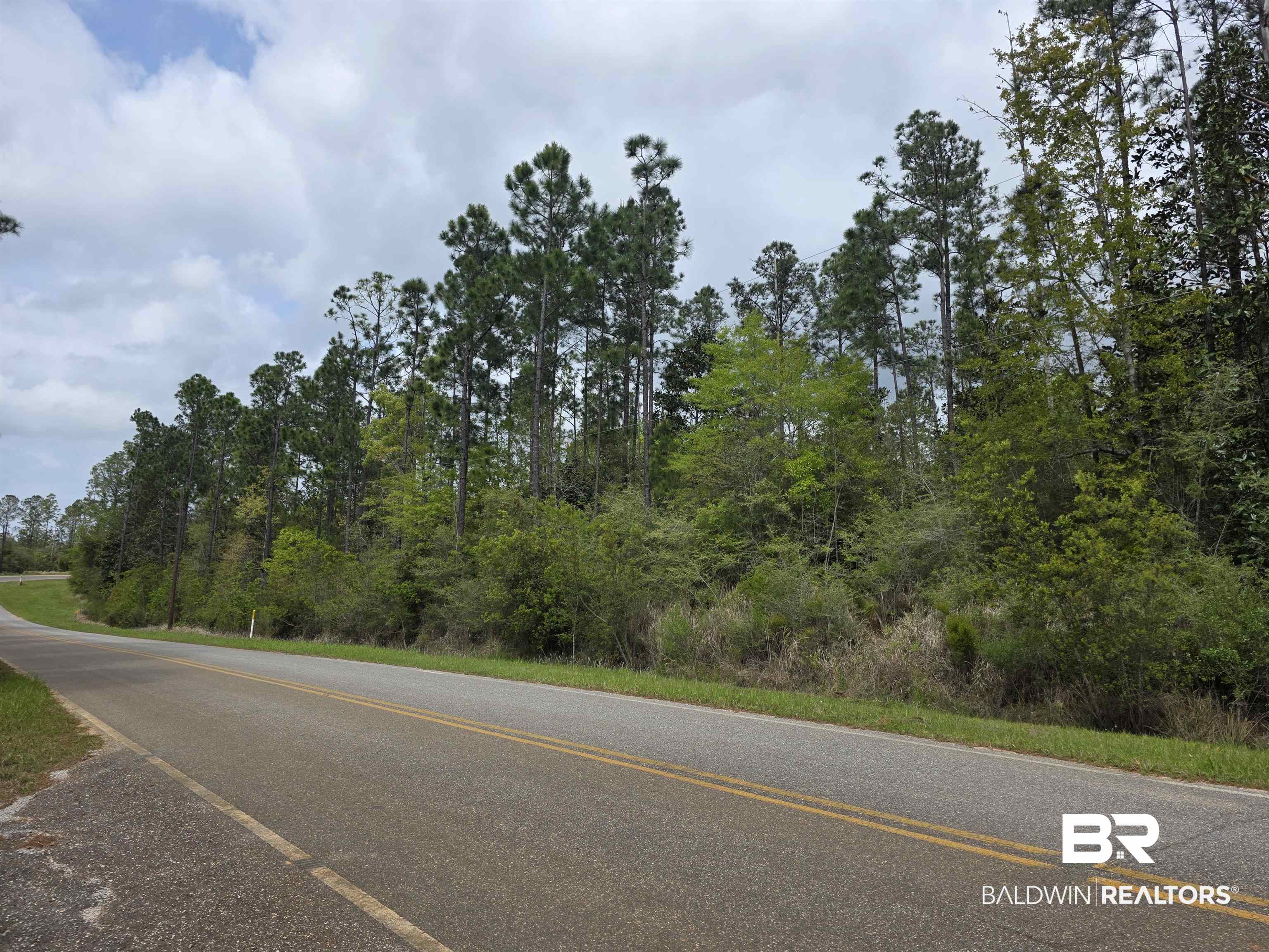 11631 Red Hill Rd Extension Bay Minette, AL 36507 - Photo 17 of 18 View of asphalt road