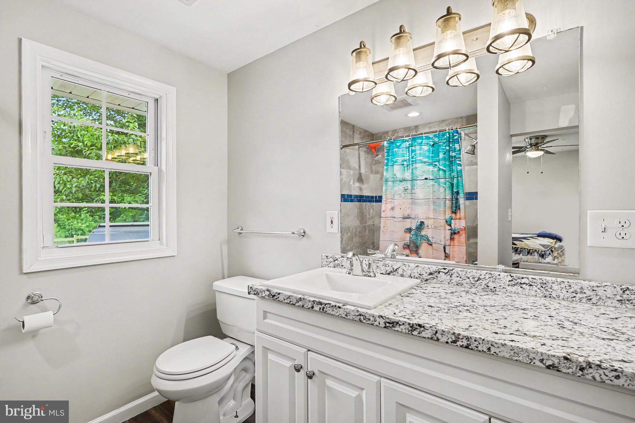3214 Sandy Hook Road Street, MD 21154 - Photo 30 of 102