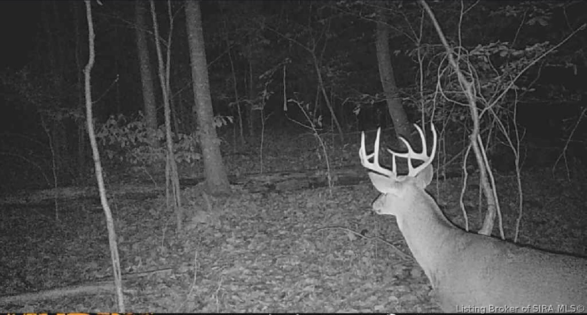 North Of W West End Road Pekin, IN 47165 - Photo 1 of 42