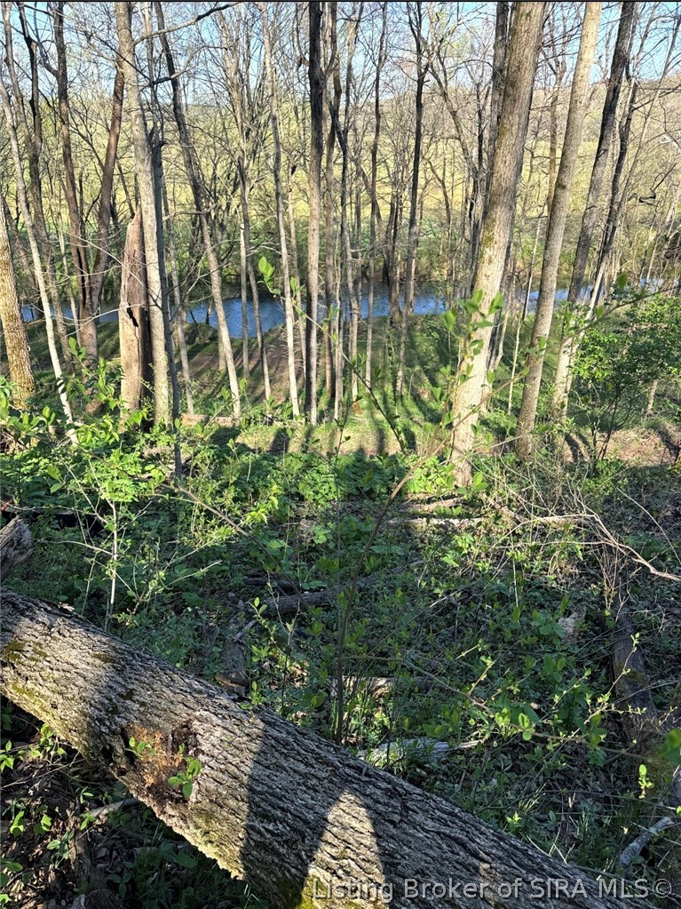 North Of W West End Road Pekin, IN 47165 - Photo 11 of 42