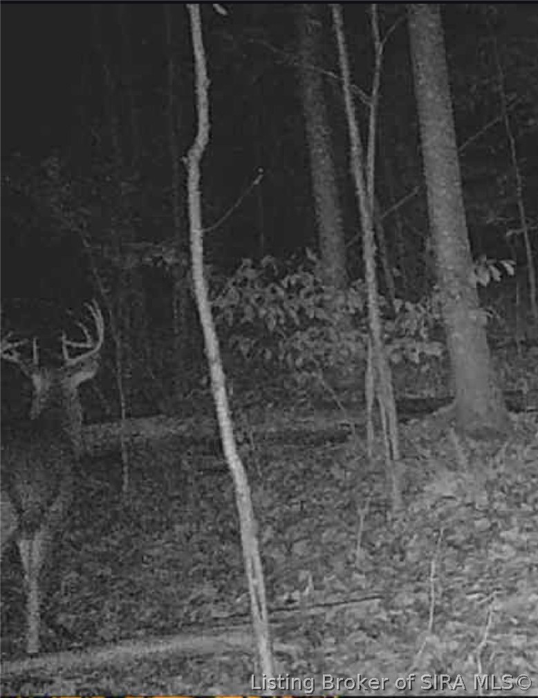 North Of W West End Road Pekin, IN 47165 - Photo 17 of 42