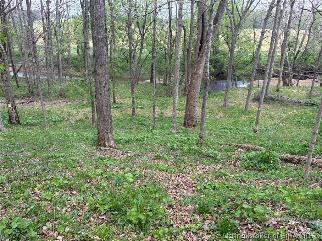 North Of W West End Road Pekin, IN 47165 - Photo 19 of 42