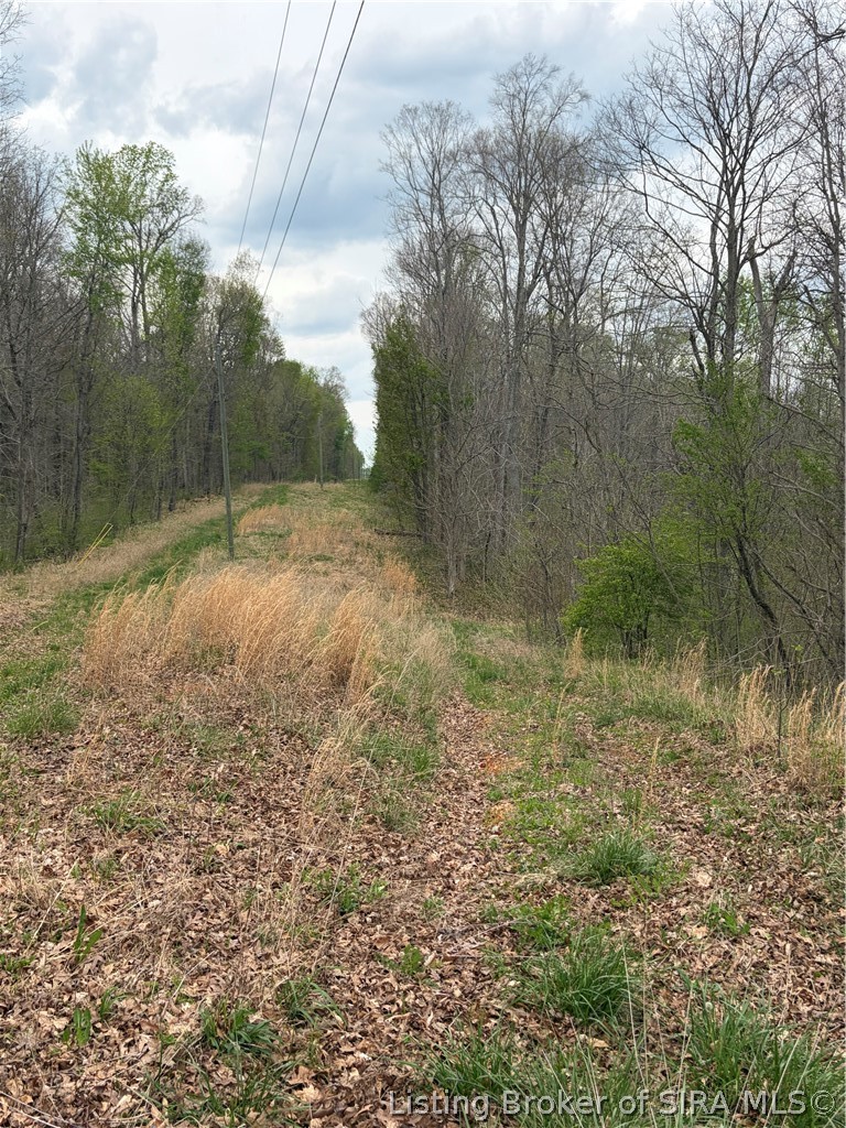 North Of W West End Road Pekin, IN 47165 - Photo 3 of 42