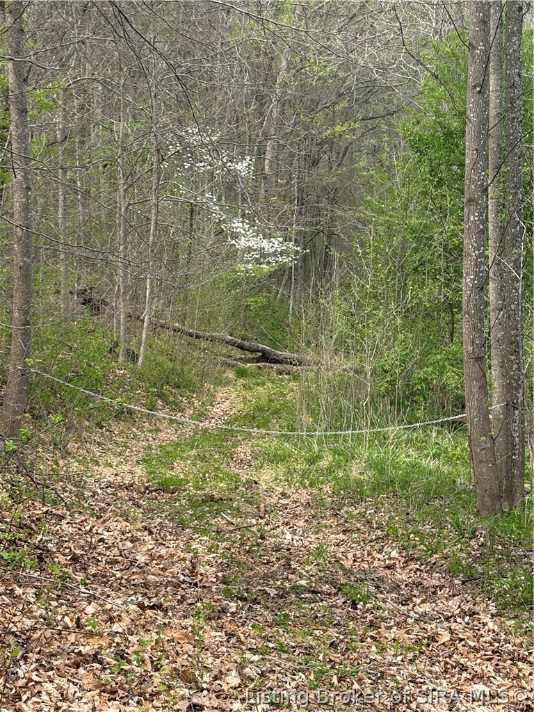 North Of W West End Road Pekin, IN 47165 - Photo 6 of 42