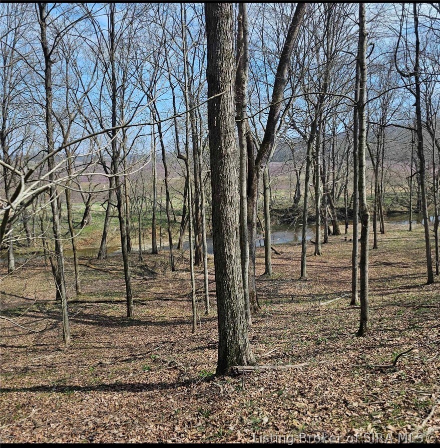 North Of W West End Road Pekin, IN 47165 - Photo 10 of 42