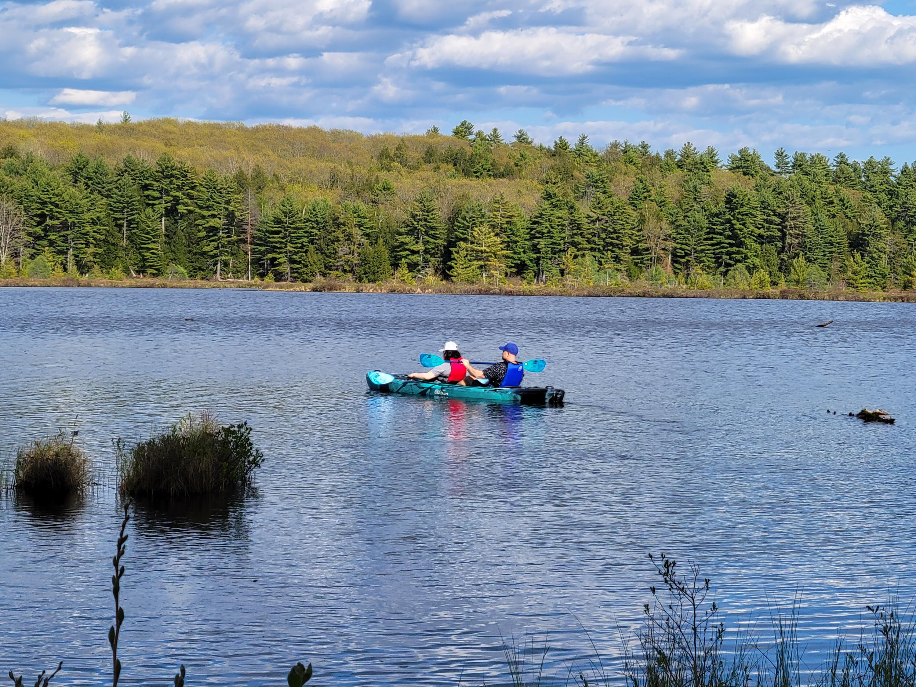 130 Colbath Road Poland, ME 04274 - Photo 7 of 10 130 Colbath Shaker Bog