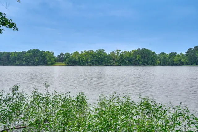 a view of lake with green field
