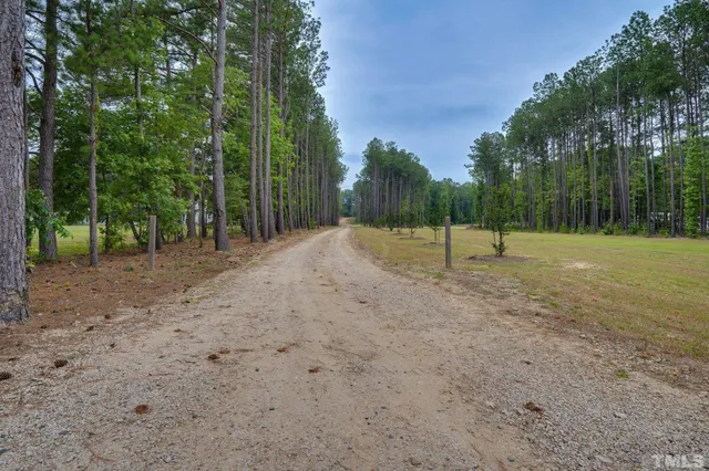 a view of outdoor space with trees