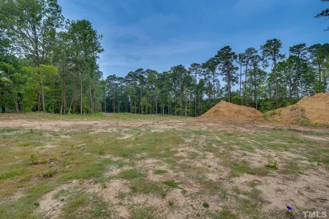 a backyard of a house with lots of trees