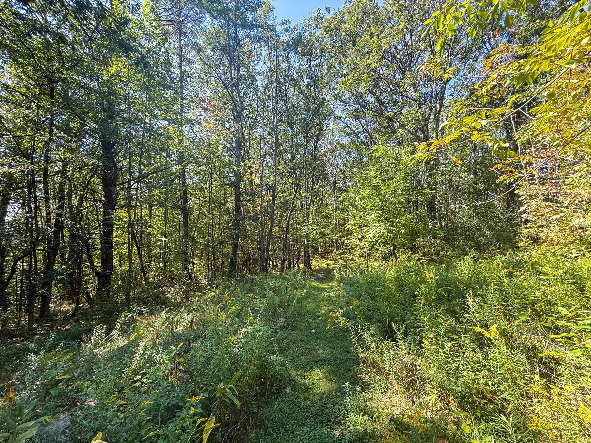 0 Dothan Road White River Junction, VT 05001 - Photo 12 of 18