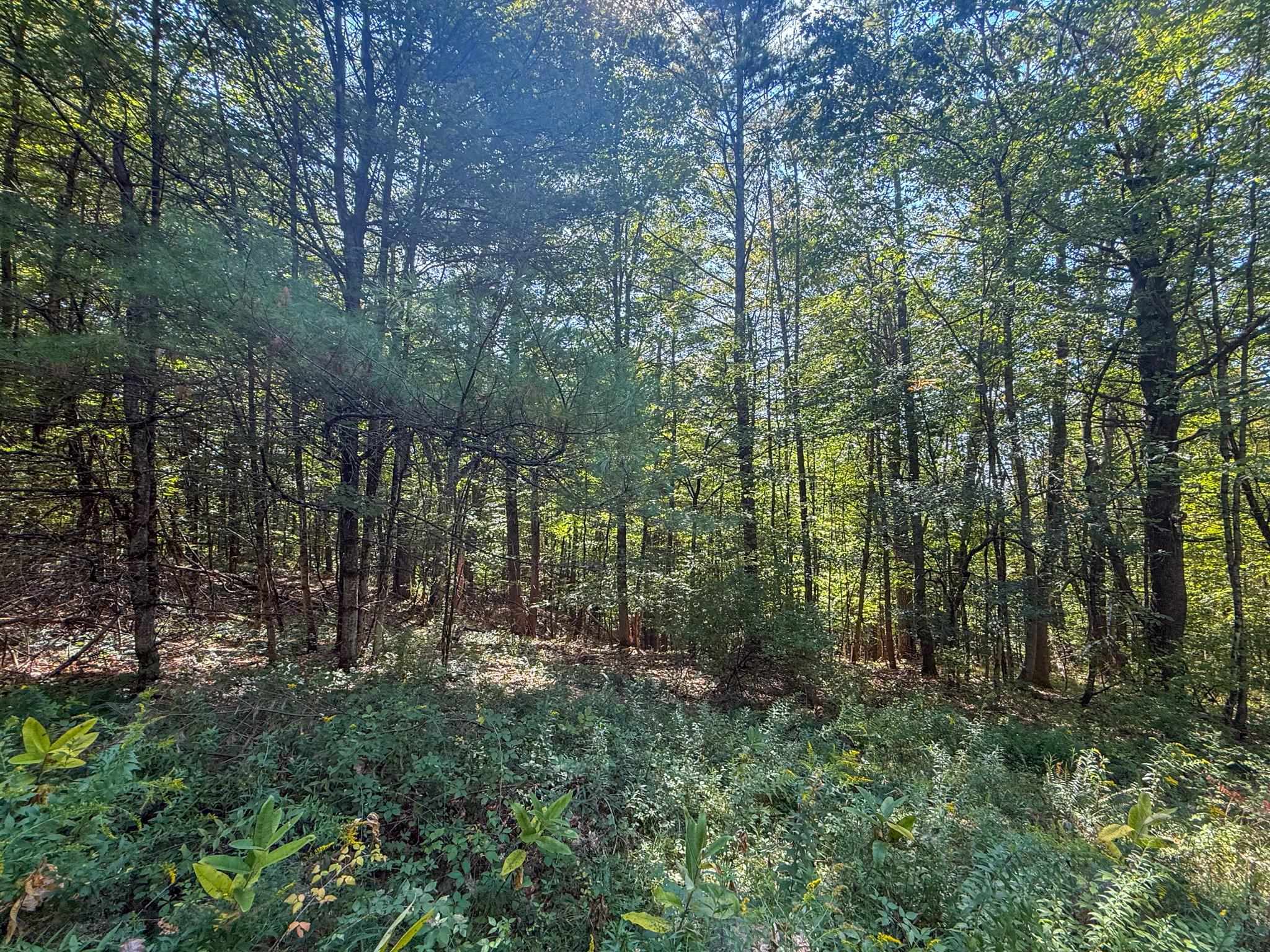 0 Dothan Road White River Junction, VT 05001 - Photo 13 of 18