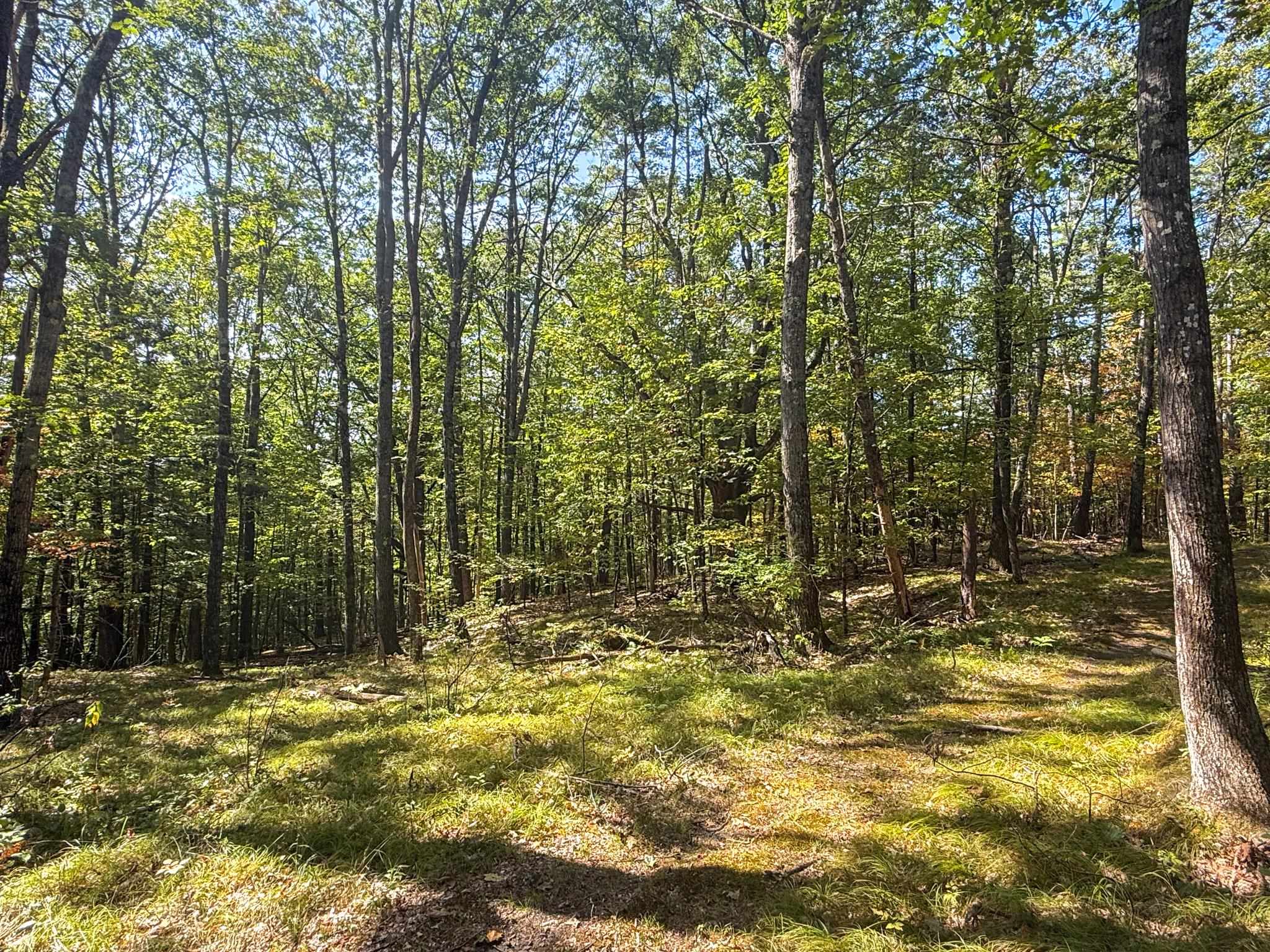 0 Dothan Road White River Junction, VT 05001 - Photo 14 of 18