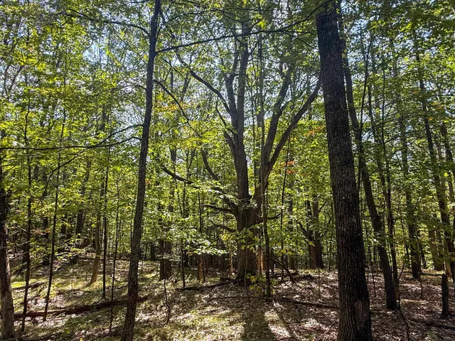 $499,000 | 0 Dothan Road, White River Junction, VT 05001