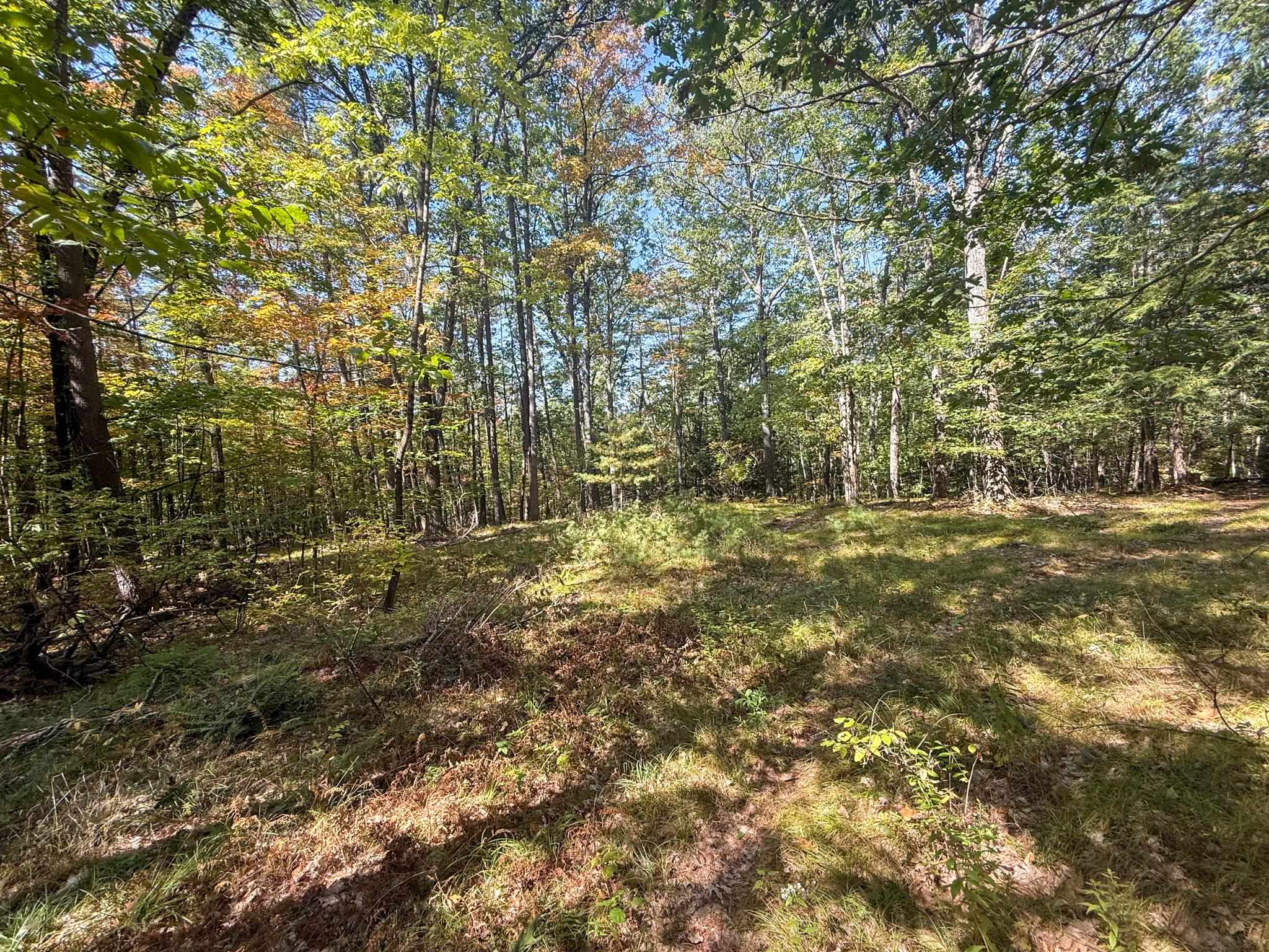 0 Dothan Road White River Junction, VT 05001 - Photo 16 of 18