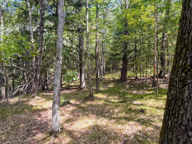 $499,000 | 0 Dothan Road, White River Junction, VT 05001