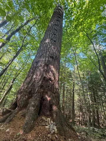 $499,000 | 0 Dothan Road, White River Junction, VT 05001