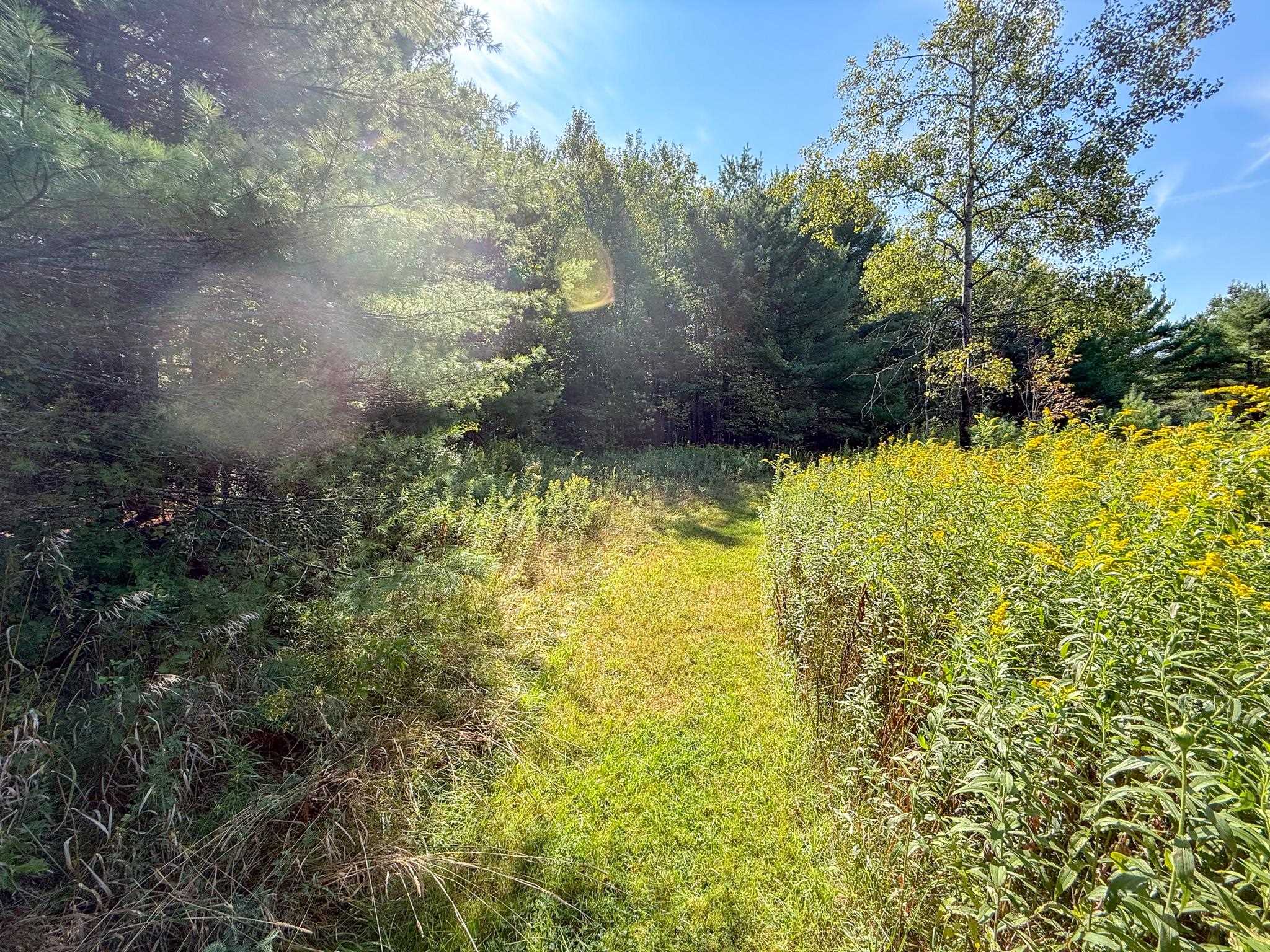 0 Dothan Road White River Junction, VT 05001 - Photo 8 of 18