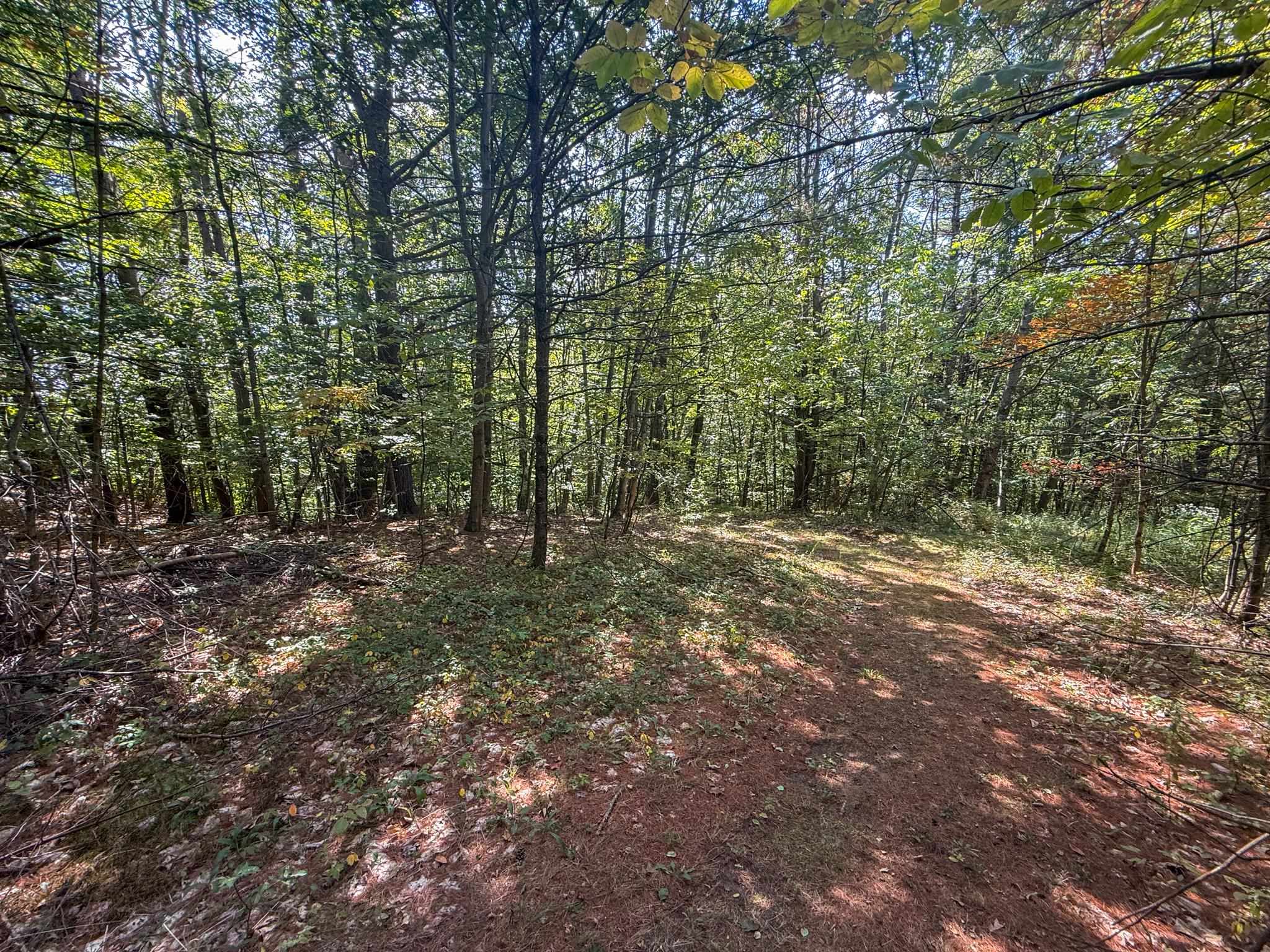 0 Dothan Road White River Junction, VT 05001 - Photo 9 of 18