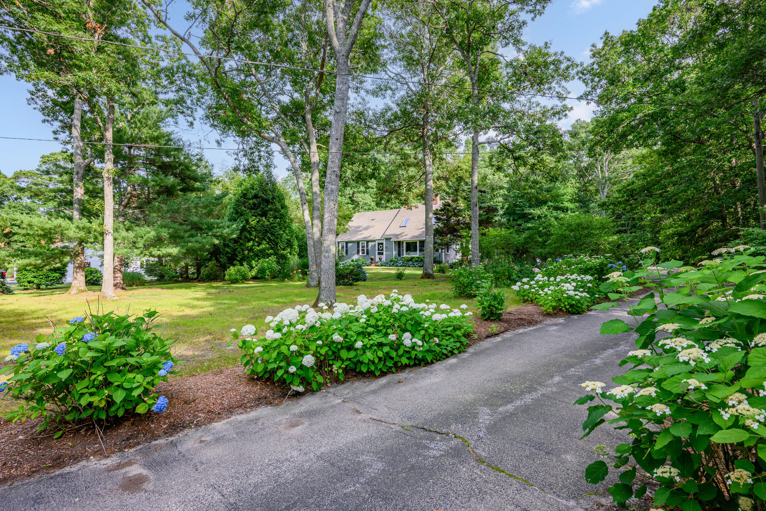 123 Asa Meigs Road Marstons Mills, MA 02648 - Photo 65 of 65 82_dsc_9468-edit