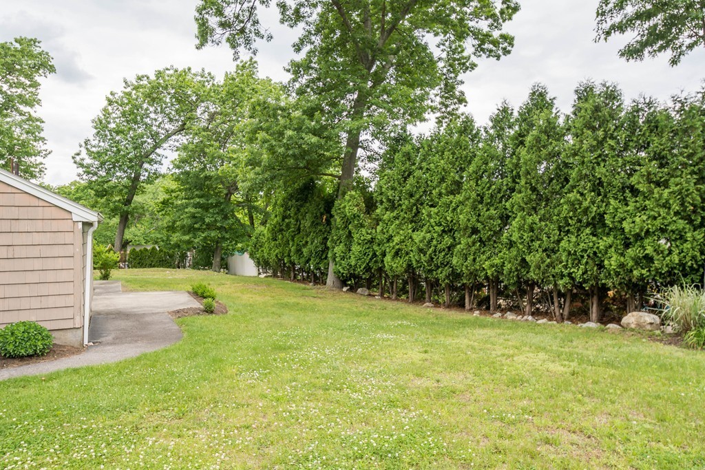 31 Selfridge Road Reading, MA 01867 - Photo 22 of 23 Gallery Image 22