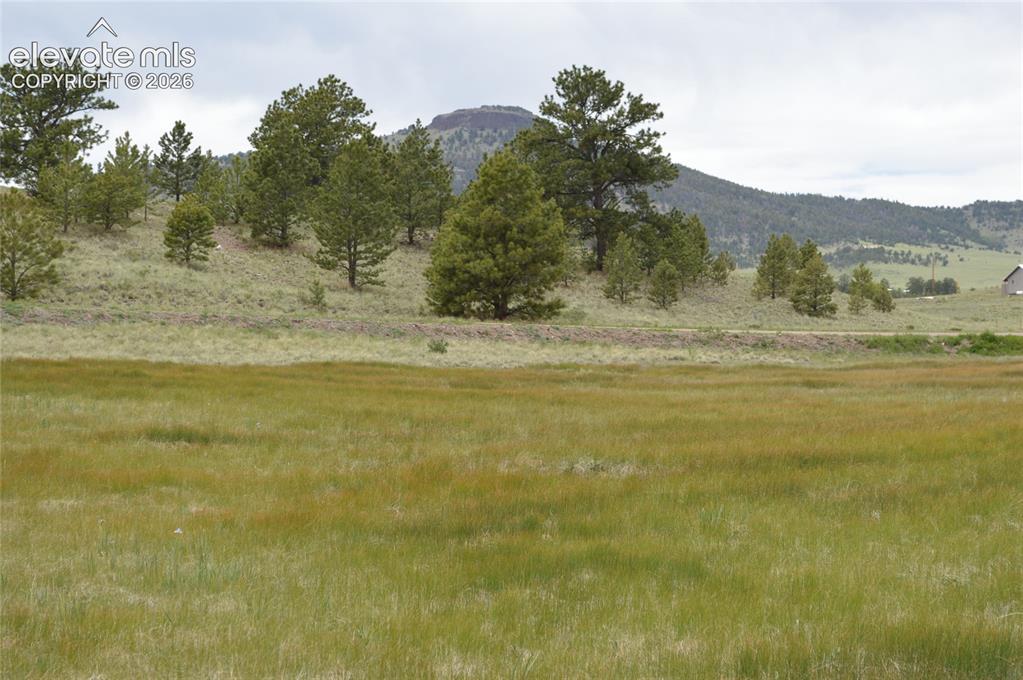344 Valley Road Guffey, CO 80820 - Photo 5 of 15 a view of a mountain view with an ocean