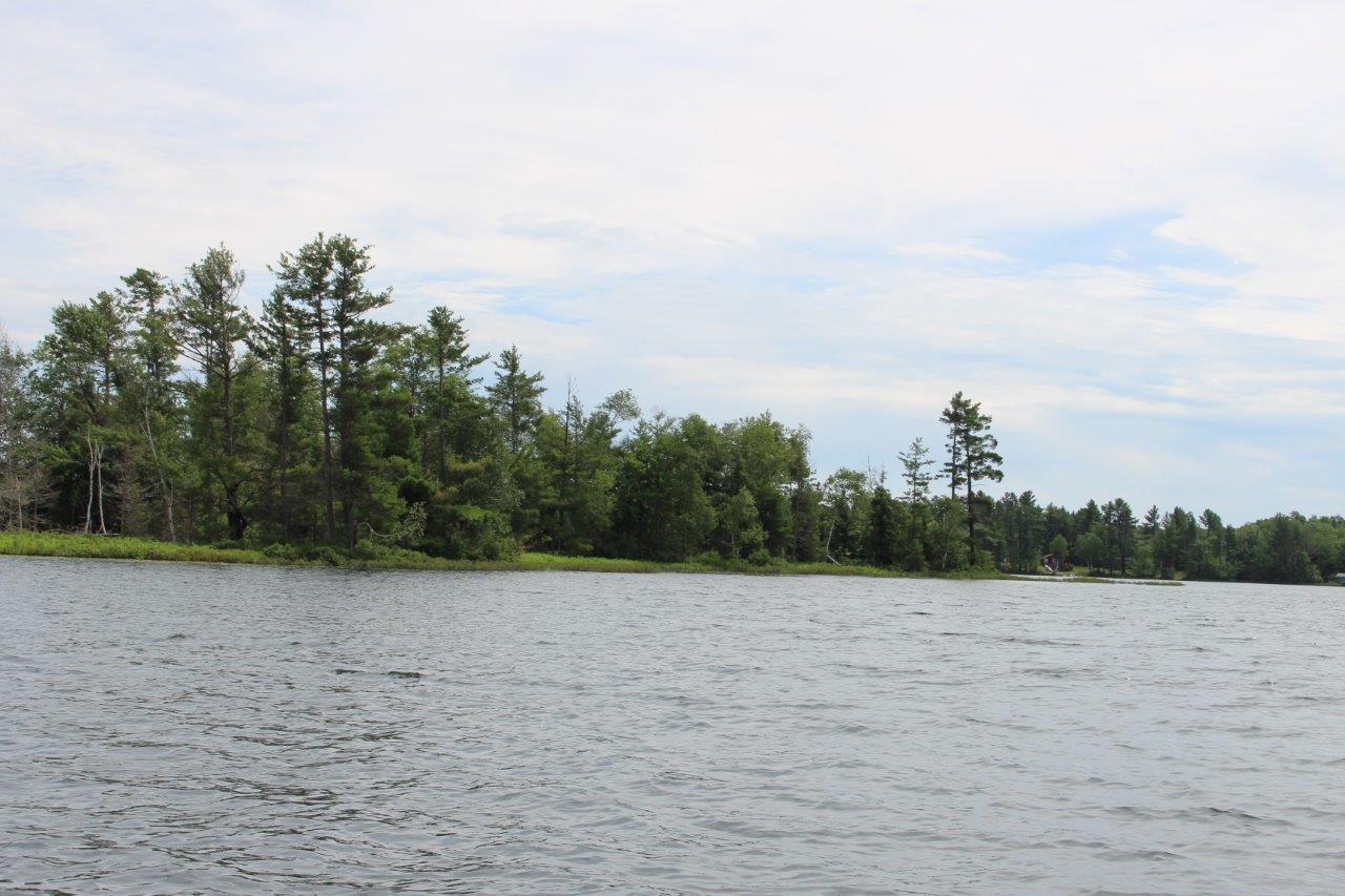 On Squirrel Lake Road Minocqua, WI 54548 - Photo 6 of 7 Gallery Image 6