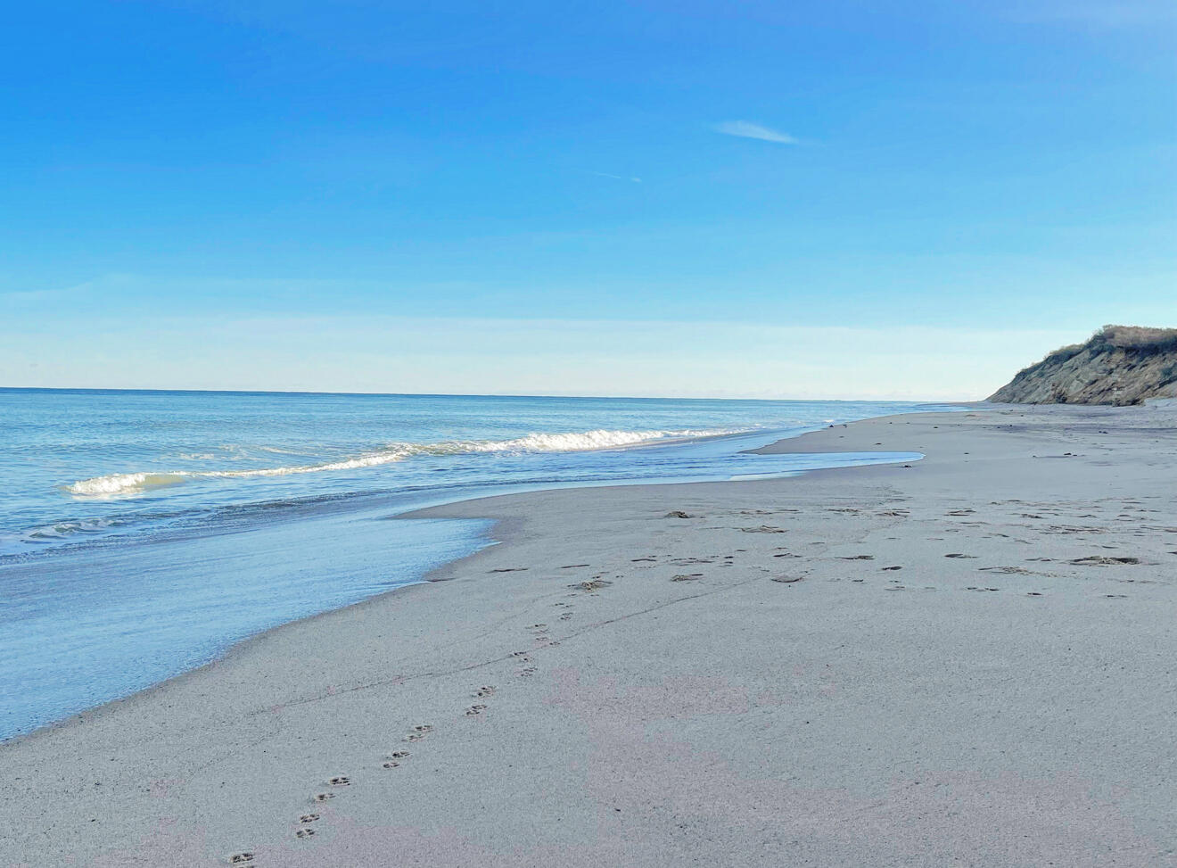 230 Massasoit Trail Eastham, MA 02642 - Photo 60 of 64 a view of beach and beach