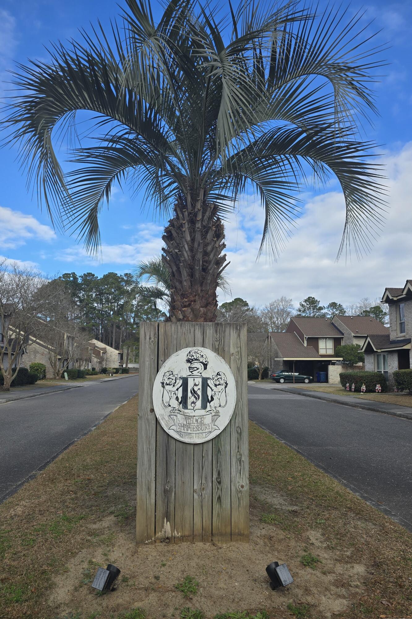 3 Brighton Circle Charleston, SC 29414 - Photo 41 of 42 20260115_094711
