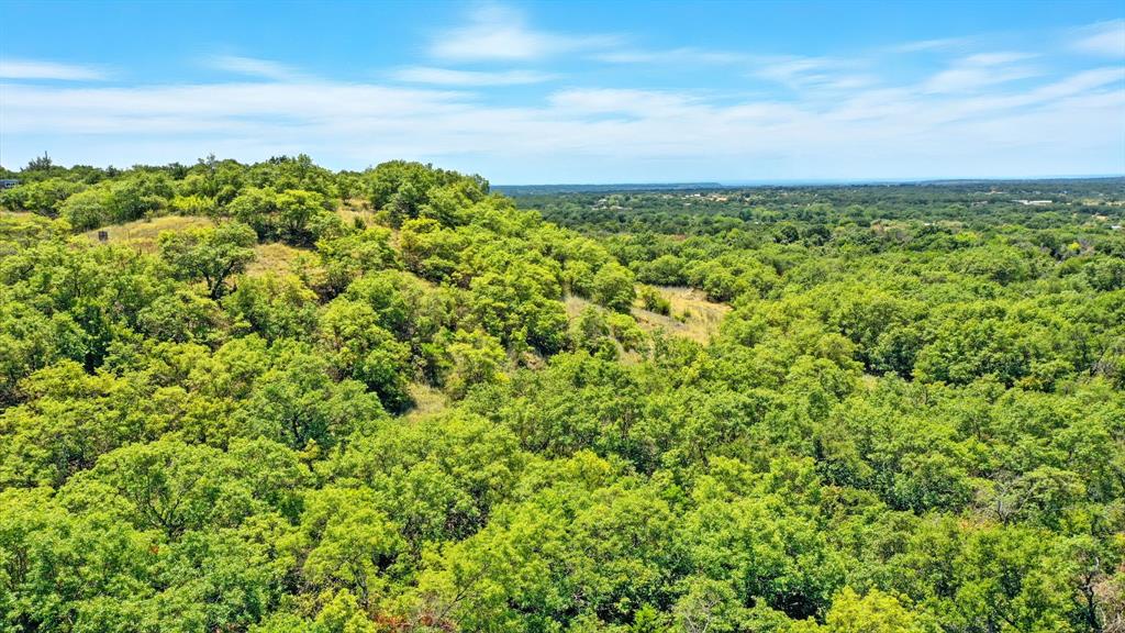 395 Pepper Lane Weatherford, TX 76088 - Photo 22 of 24 Bird's eye view of a forest
