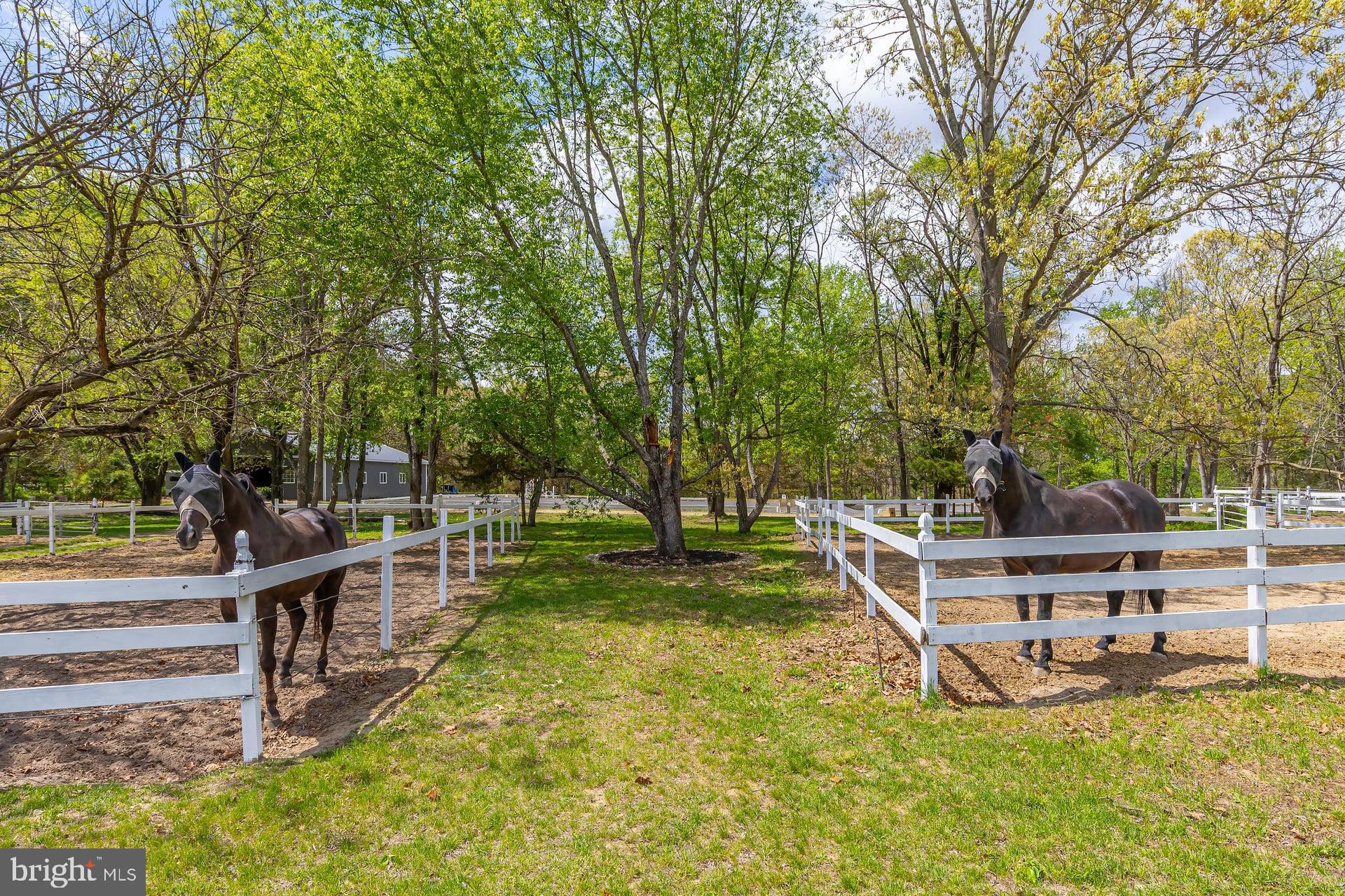140 Colony Place Swedesboro, NJ 08085 - Photo 44 of 61