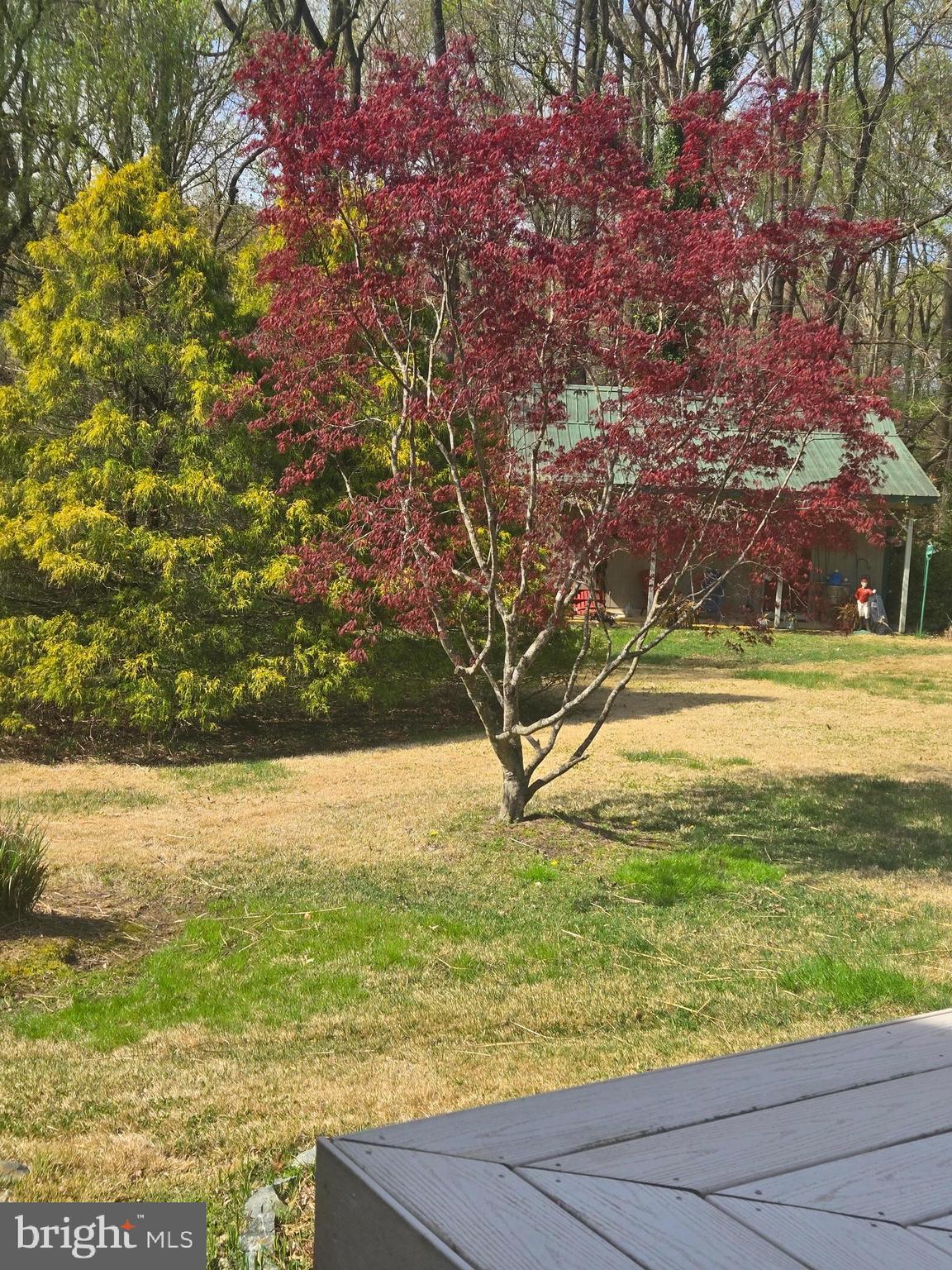 8780 Marsh View Road Easton, MD 21601 - Photo 7 of 9