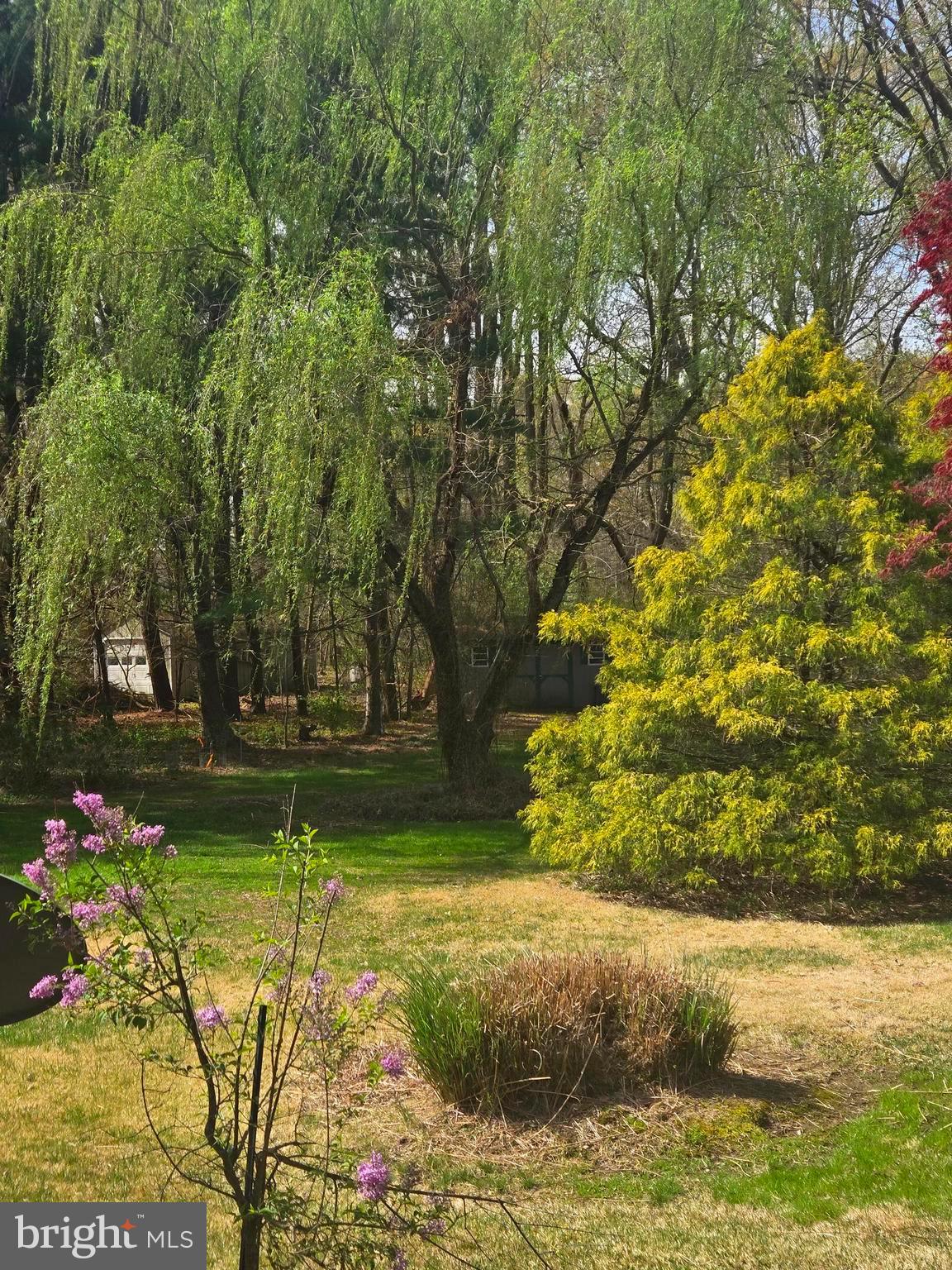 8780 Marsh View Road Easton, MD 21601 - Photo 9 of 9