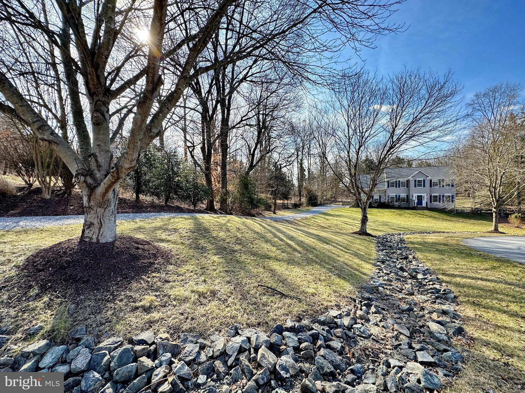 4060 Loving Drive Dunkirk, MD 20754 - Photo 4 of 83 a view of yard with swimming pool and trees