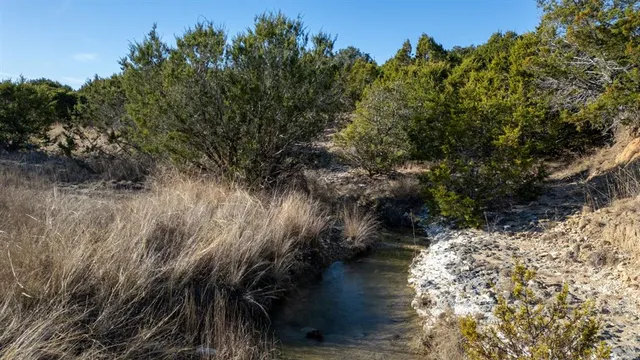a view of a lake with a tree