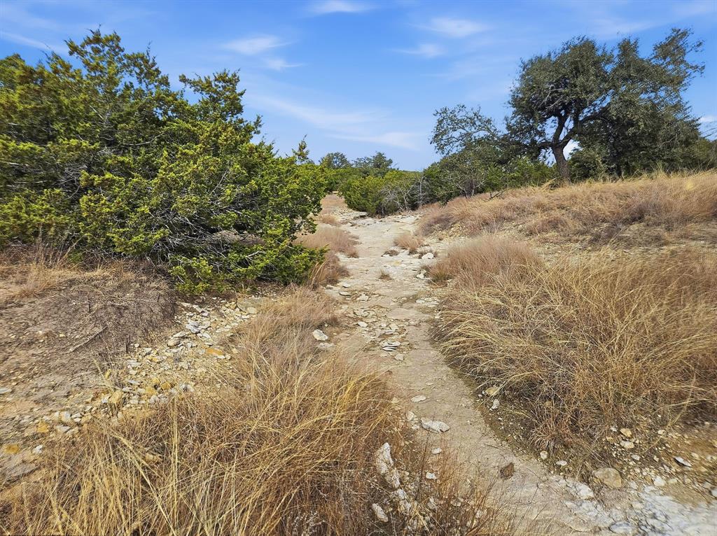 162 County Road 162 Evant, TX 76525 - Photo 14 of 33 a view of a dry yard with trees