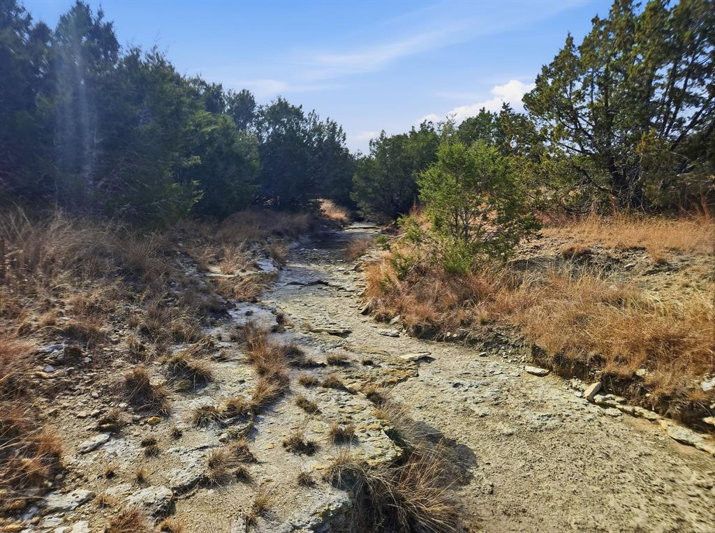 162 County Road 162 Evant, TX 76525 - Photo 18 of 33 a view of a yard with a tree