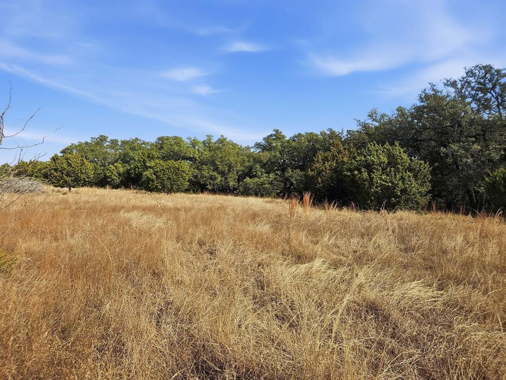 162 County Road 162 Evant, TX 76525 - Photo 26 of 33 a view of a yard with a tree