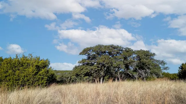 a view of a lake with lots of trees