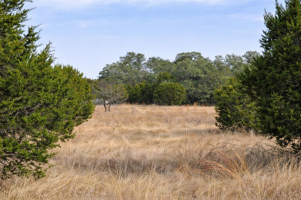 162 County Road 162 Evant, TX 76525 - Photo 29 of 33 a view of a yard with a tree