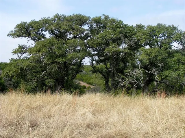 a view of a city with ocean