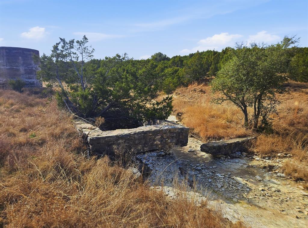 162 County Road 162 Evant, TX 76525 - Photo 4 of 33 a view of a tree in a yard