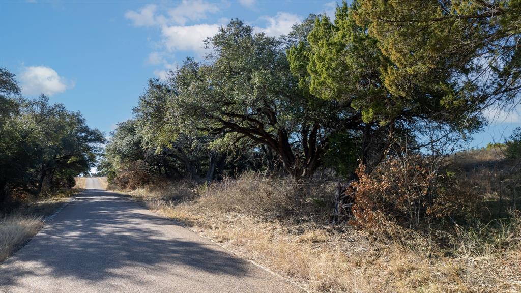 162 County Road 162 Evant, TX 76525 - Photo 9 of 33 a view of a yard with plants and trees