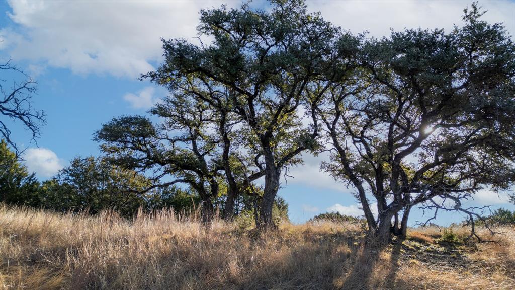 162 County Road 162 Evant, TX 76525 - Photo 10 of 33 a view of lake