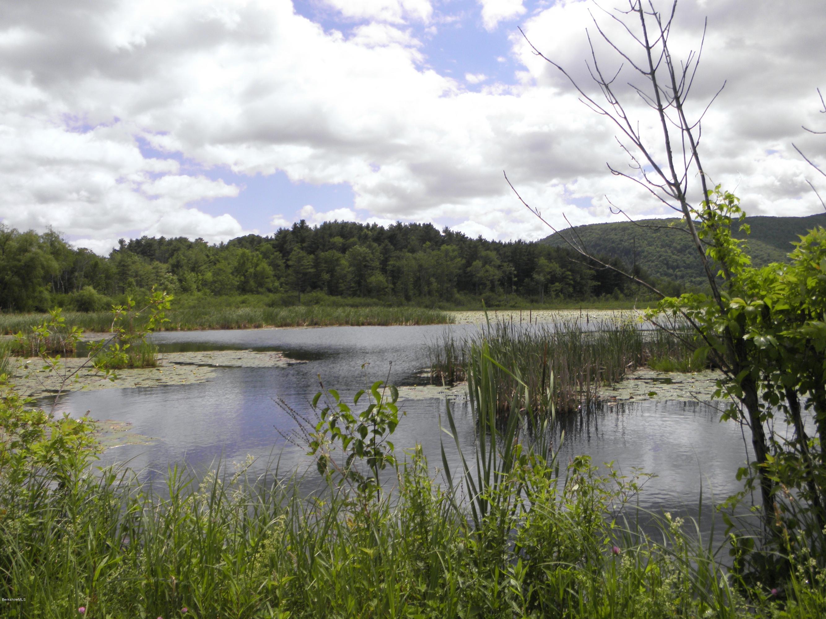 3 Clark Road Stockbridge, MA 01262 - Photo 2 of 15 pond