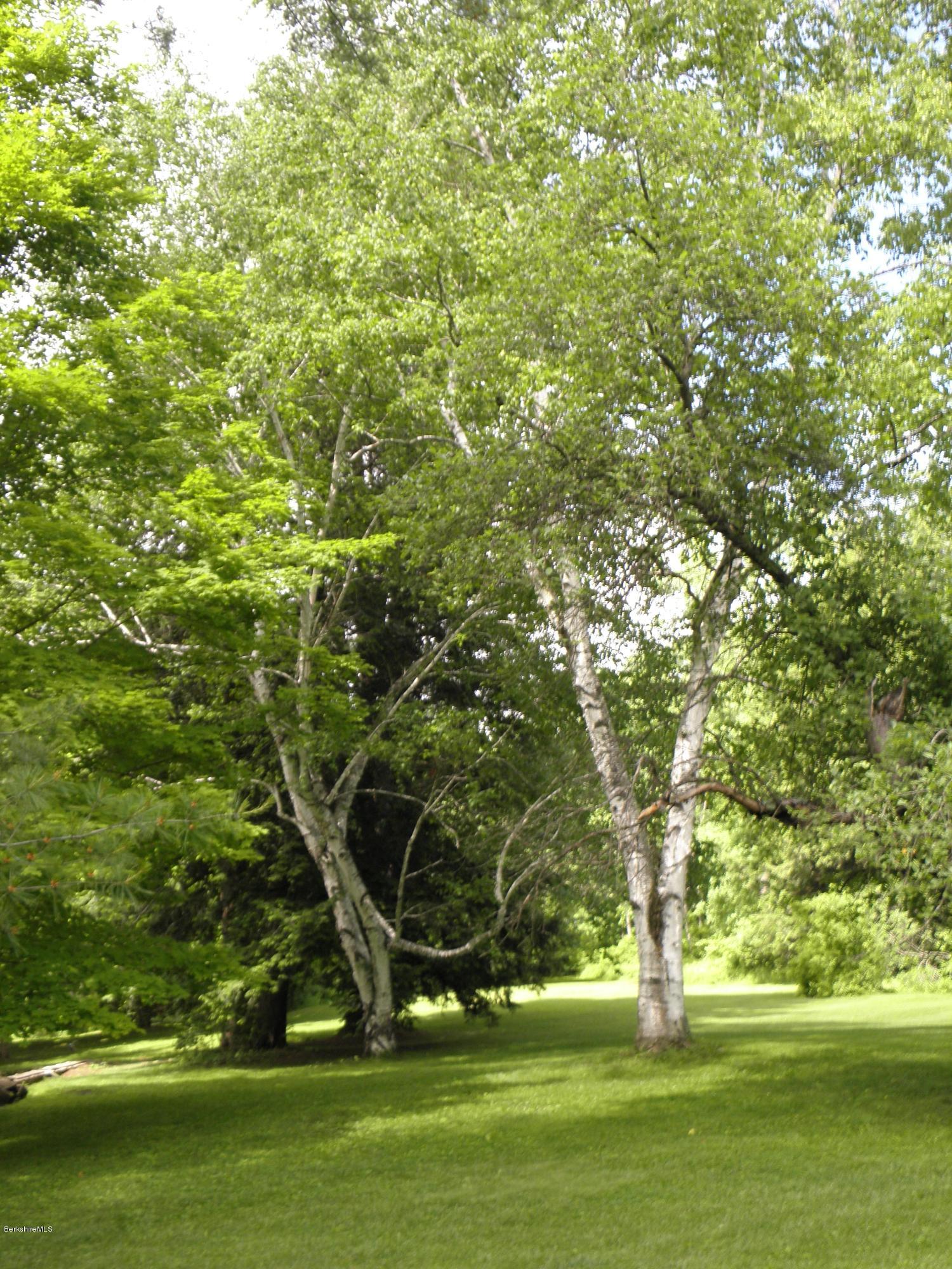 3 Clark Road Stockbridge, MA 01262 - Photo 6 of 15 birchtrees