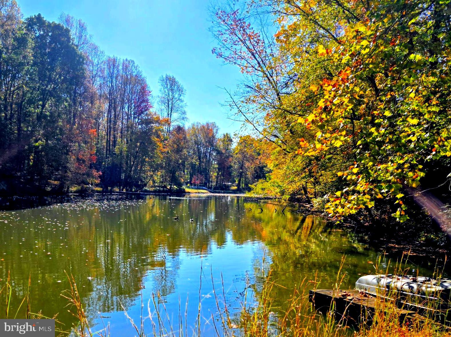 520 Chesapeake Beach Road Owings, MD 20736 - Photo 39 of 70 POND IN BACK YARD