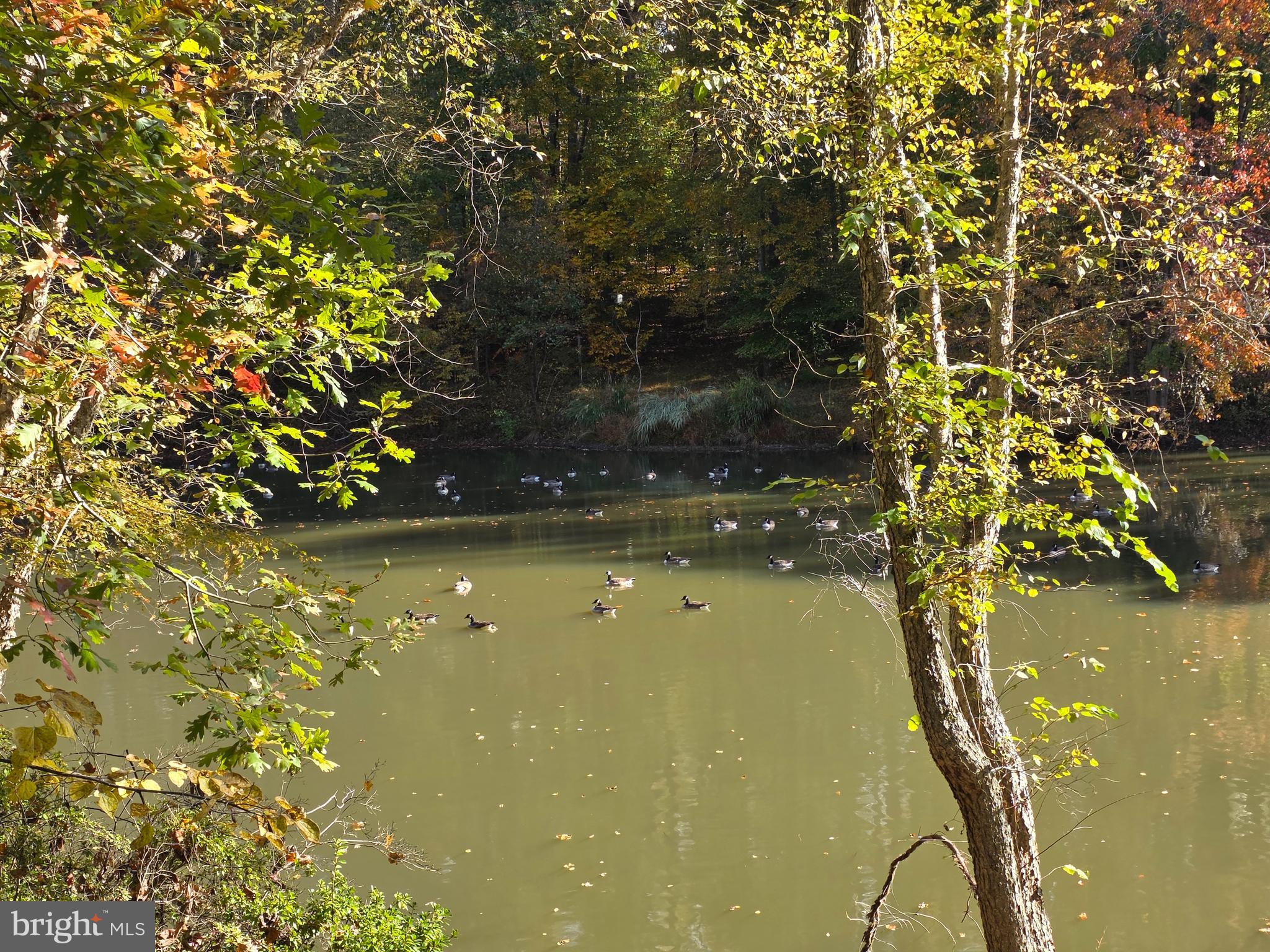 520 Chesapeake Beach Road Owings, MD 20736 - Photo 40 of 70 POND INYOUR BACK YARD